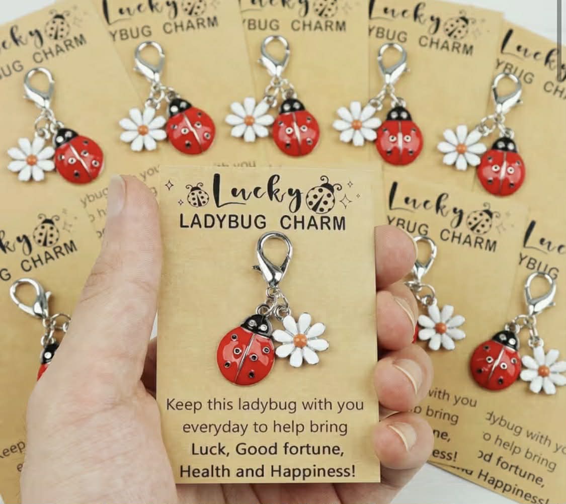 Lucky Ladybug Charm Cards