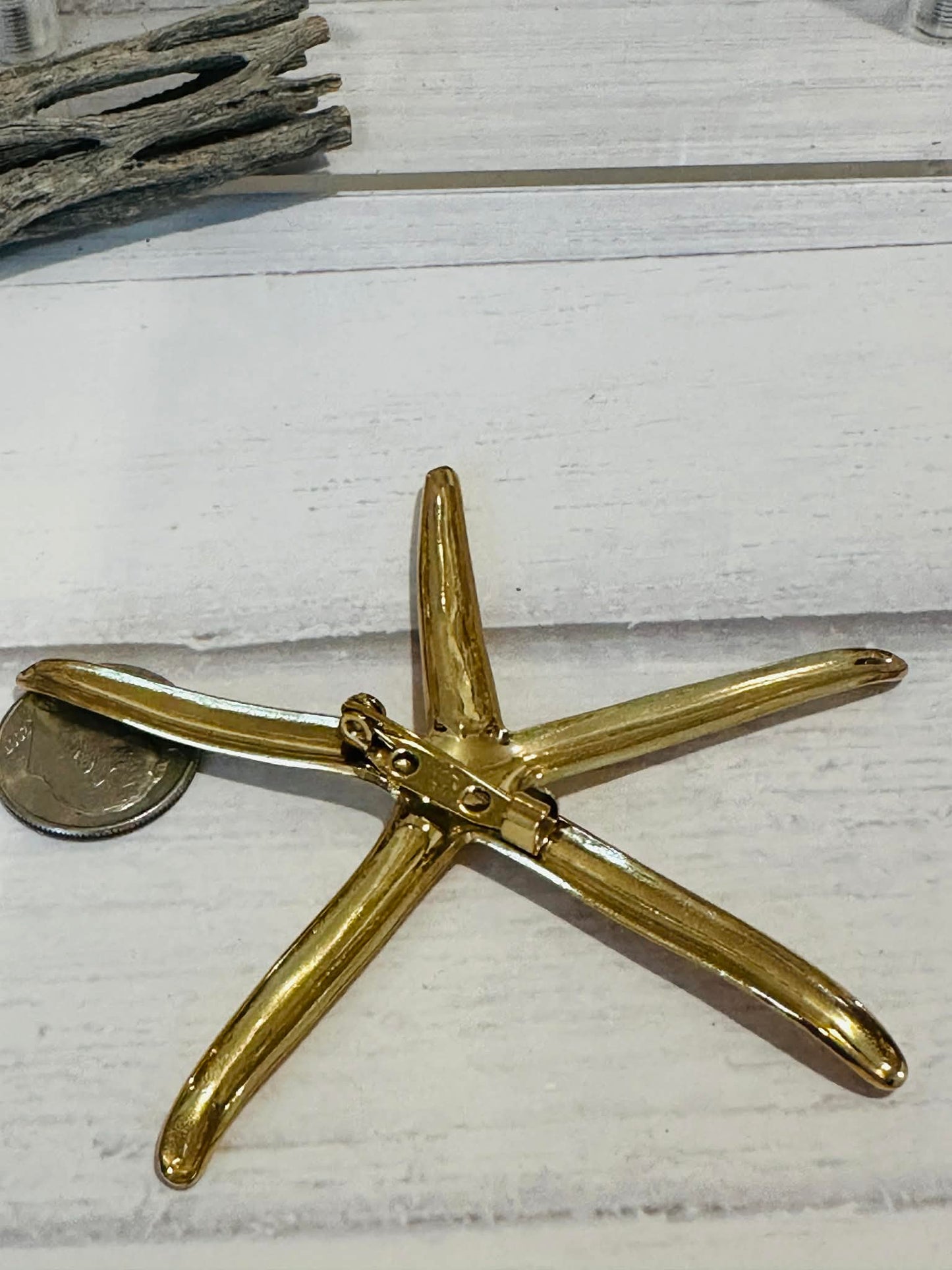 Starfish Brooch