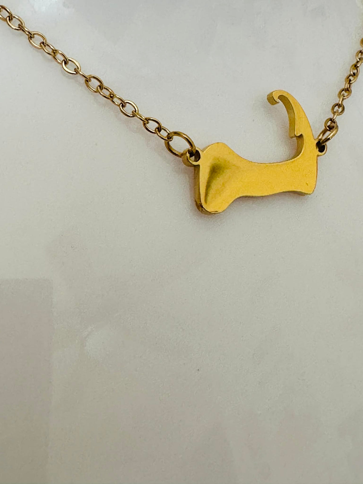 Cape Cod Map Necklace