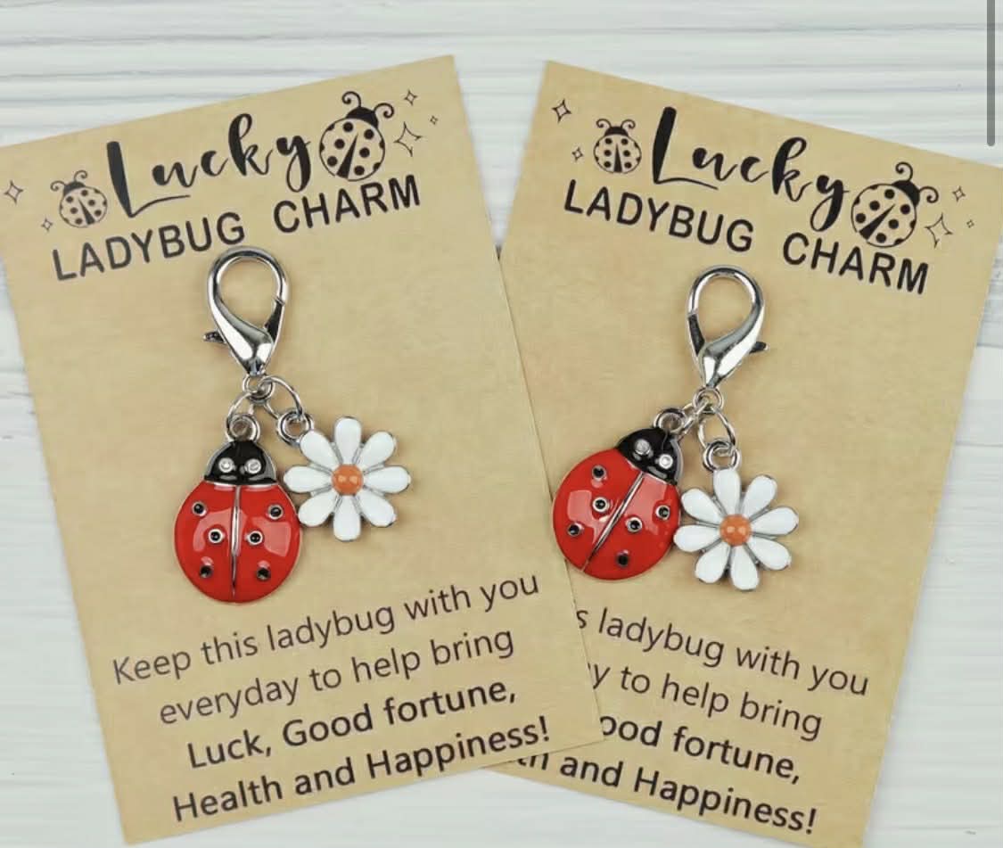Lucky Ladybug Charm Cards