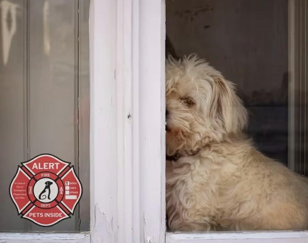 Pet Alert Safety Stickers